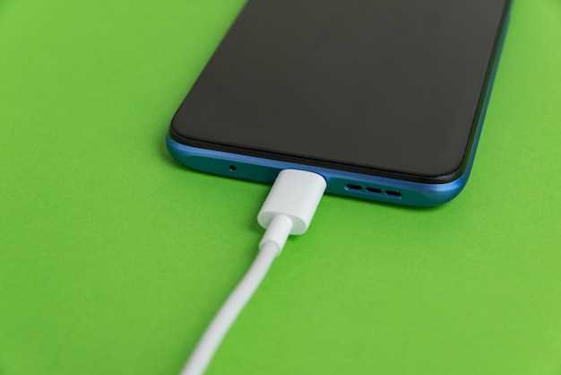 Maximizing Charging Speed and Efficiency